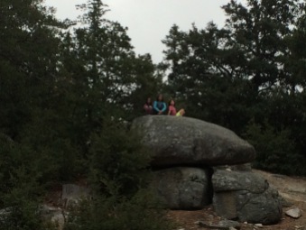 Cool boulder at Marion Mountain