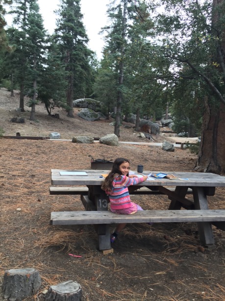 Picnic table at Marion Mountain