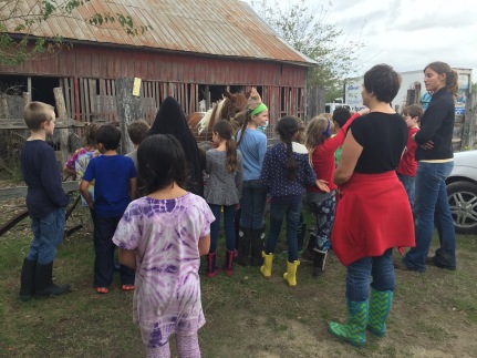 With Austin Waldorf School 3rd grade at Green Gate Farms