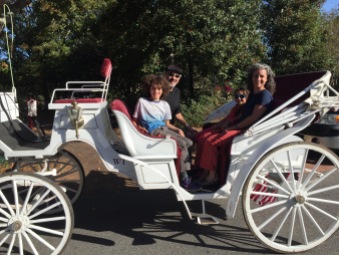 Horse driven carriage ride